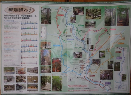赤沢自然休養林マップ